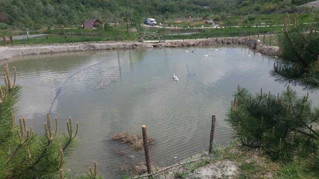 Pensiunea Dely_Cios Vălenii de Munte Exteriér fotografie