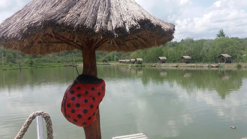 Pensiunea Dely_Cios Vălenii de Munte Exteriér fotografie