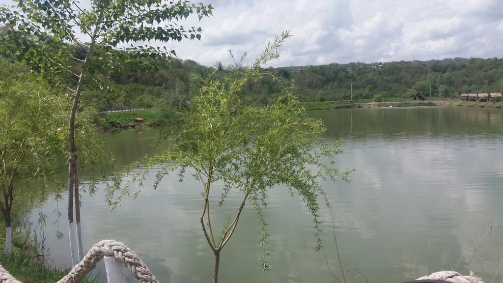 Pensiunea Dely_Cios Vălenii de Munte Exteriér fotografie